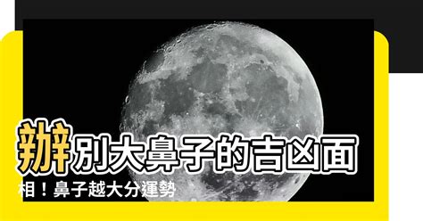 鼻子運勢幾歲|【幾多歲行鼻運】蘇民峯神準預測！「幾多歲行鼻運」讓你財庫滿。